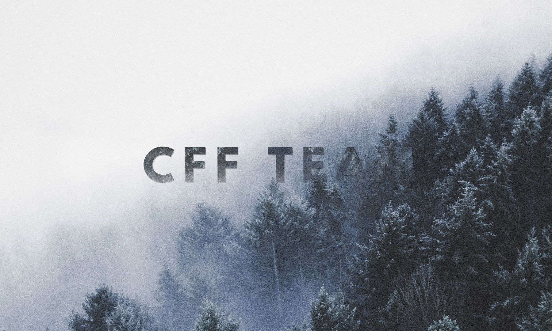 cfft2.jpg