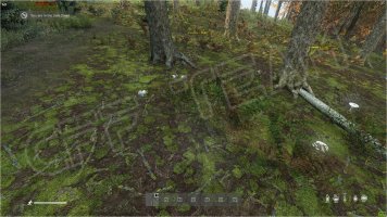 Dayz_SA_TE (5).jpg