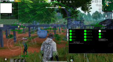 pybg-Mobile-[GameLoop]-2-min.png