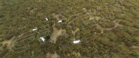 -DayZ-Undead-4.jpg -DayZ-Undead-4.jpg