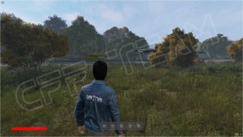 -DayZ-Pirate-1.jpg -DayZ-Pirate-1.jpg