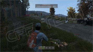 -DayZ-Pirate-5.jpg -DayZ-Pirate-5.jpg