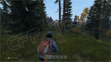 -DayZ-Pirate-6.jpg -DayZ-Pirate-6.jpg
