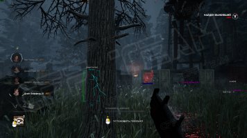 -DbD-2.jpg -DbD-2.jpg